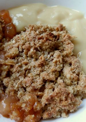 A picture of Vickys Maple Oat Plum Crumble GF DF EF SF NF.