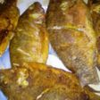 🐟 سمك مقلي 🐟