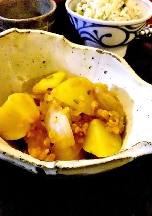 A picture of Vegan Faux Nikujaga with Lentils.