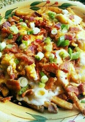 A picture of Hillbilly Fries.