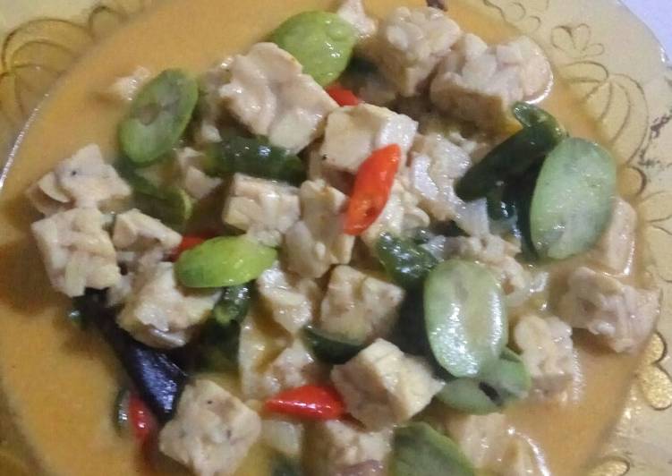 Resep Sayur Santan Tempe, Lezat