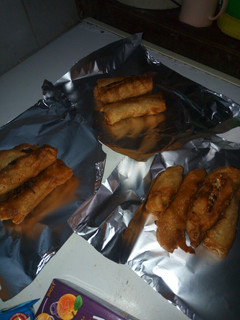 A picture of Vegetable spring rolls.