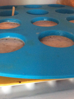 A picture of Oreo Ice-pops.