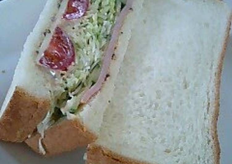 Hearty Cabbage Sandwich