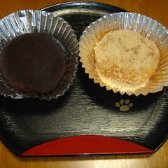 A picture of Ohagi (to freeze-store for later).