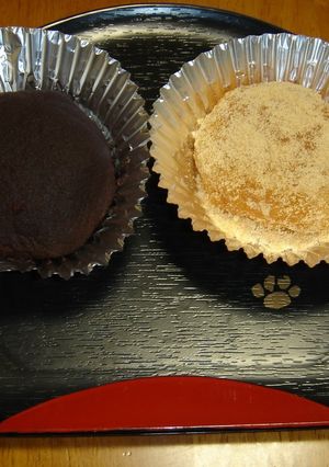 A picture of Ohagi (to freeze-store for later).