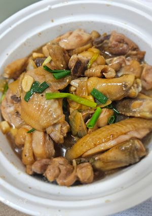 洋蔥燒雞 的食譜成品照片