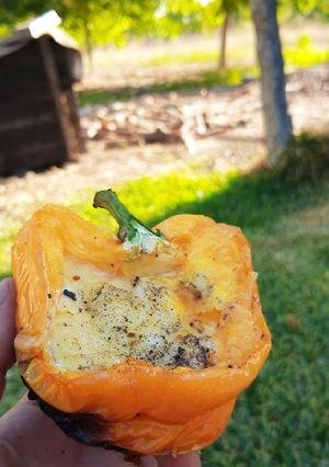 Una foto de Pimentón Asado
