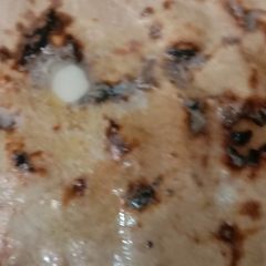 A picture of Tandoori Roti on Tava.