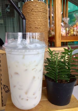 รูปของ นมสดเย็น