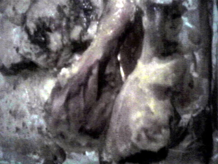 Easy Way Make Recipe Lemon Pepper Chicken Drumsticks that is Perfect, Appealing}