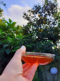 عکسی از دستور رب نارنج ارگانیک 😋🤤