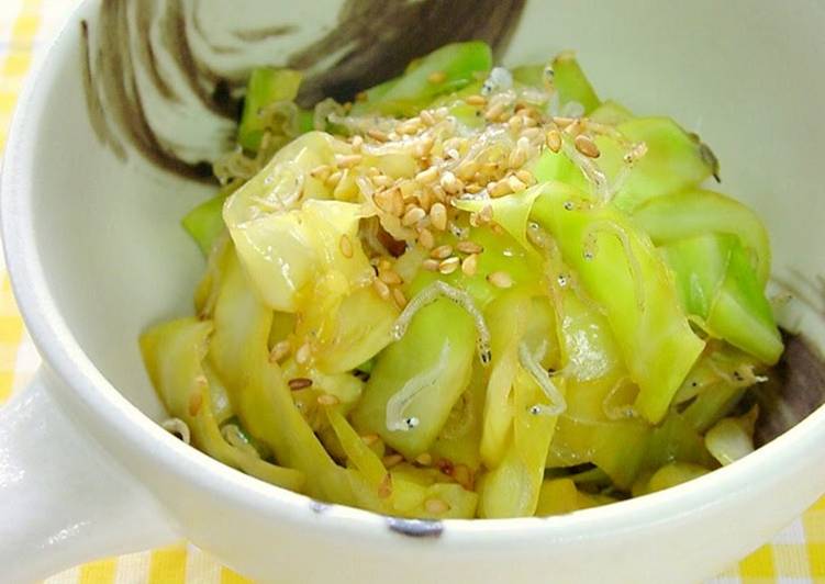 Easiest Way to Make Homemade Cabbage &amp; Baby Sardine Oyster Stir Fry