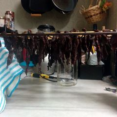 A picture of Oven-made Jerky.
