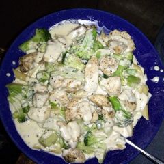 Chicken Alfredo A picture of Chicken Alfredo.
