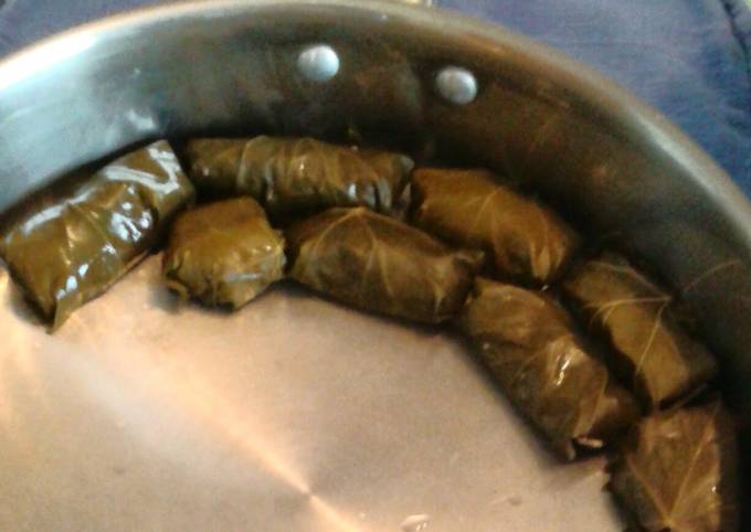 Greek Meat-Stuffed Grape Leaves / Dolmadakia me Kima