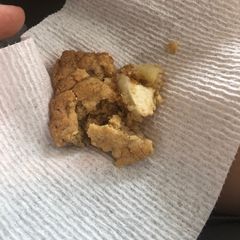 A picture of Moist apple walnut squares.