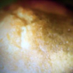A picture of Orange muffins.