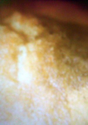 A picture of Orange muffins.