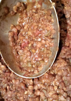A picture of Spicy Lentils.