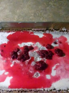 A picture of Raspberry Homicide.