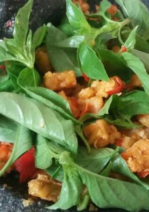 Foto resep Sambal kencur ala Ibu Alamanda