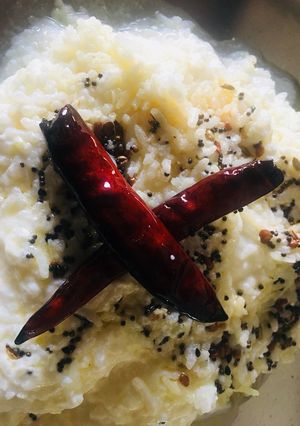 A picture of Curd Rice.