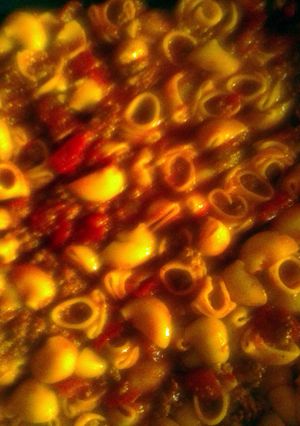 A picture of goulash.
