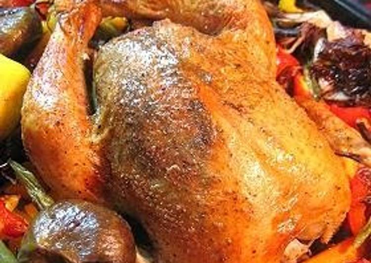 Simple Way to Make Ultimate Roast Chicken (for any occasion!)