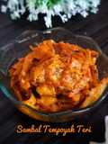 261. Sambal Tempoyak Teri