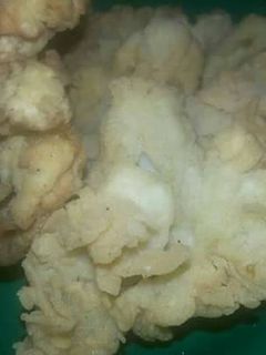 Foto resep Jamur crispy