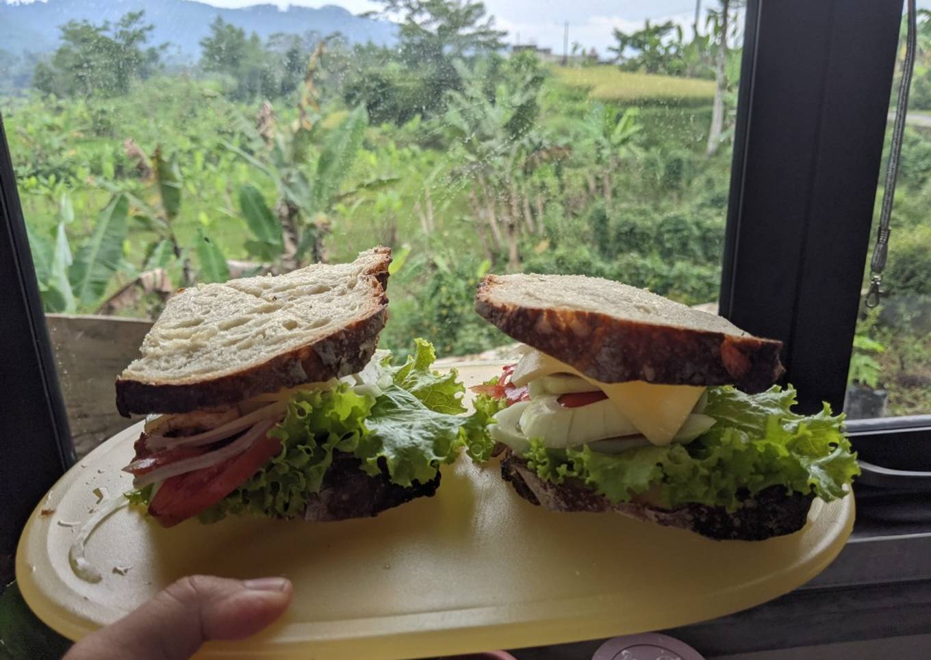 Sourdough bread sandwich with chicken barbeque