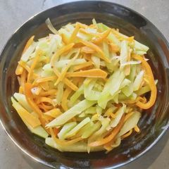 A picture of Jade Melon with Carrot.