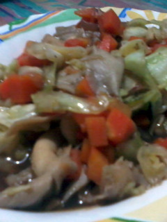 A picture of Okalitus' Veggie Mushroom Stew.