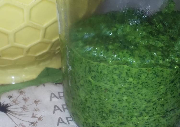 Steps to Make Award-winning Spinach Kale Basil Pesto