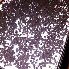 A picture of chocolate lasagna.