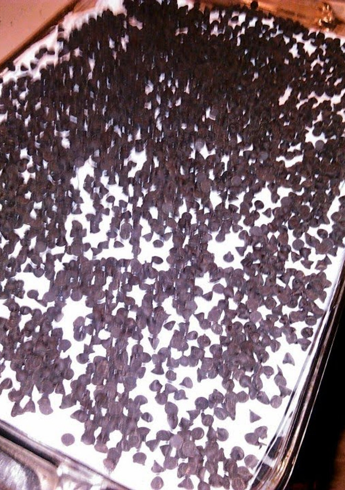 A picture of chocolate lasagna.