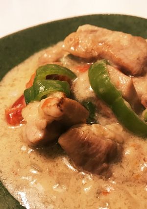 A picture of Coconut Milk Braised Chicken ☆ Easy!.