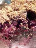 Paleo Fruit Crumble