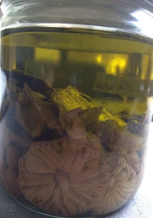 Φωτογραφία της συνταγής Κονσέρβα μανιτάρια ξυδάτα