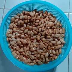 A picture of Kacang Bawang.