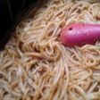 Fideos con tuco sin presentación