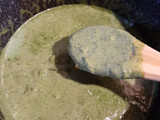 Salsa de espinaca
