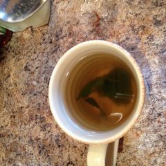 A picture of Lemon Balm Tea.