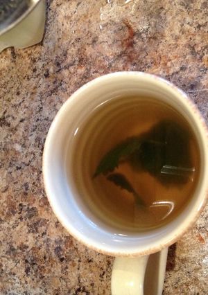 A picture of Lemon Balm Tea.
