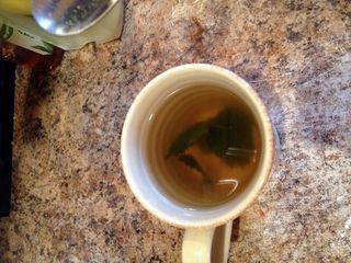 Lemon Balm Tea
