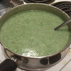 A picture of Vichyssoise with Spinach.