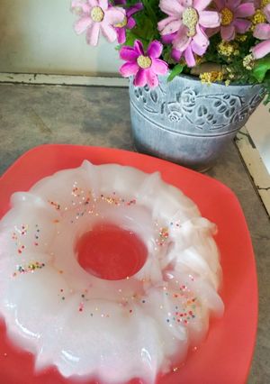 Foto resep Puding Kelapa Muda