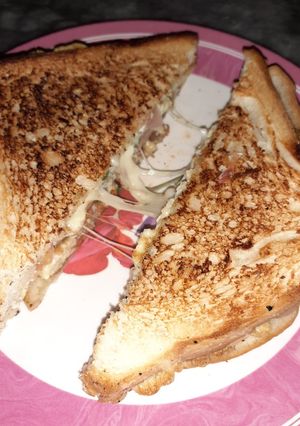 A picture of Cheeze Sandwich.