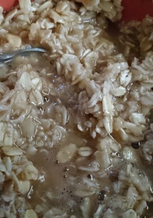 A picture of Vanilla Cinnamon Oatmeal.